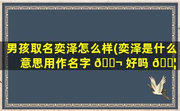 男孩取名奕泽怎么样(奕泽是什么意思用作名字 🐬 好吗 🐦 )